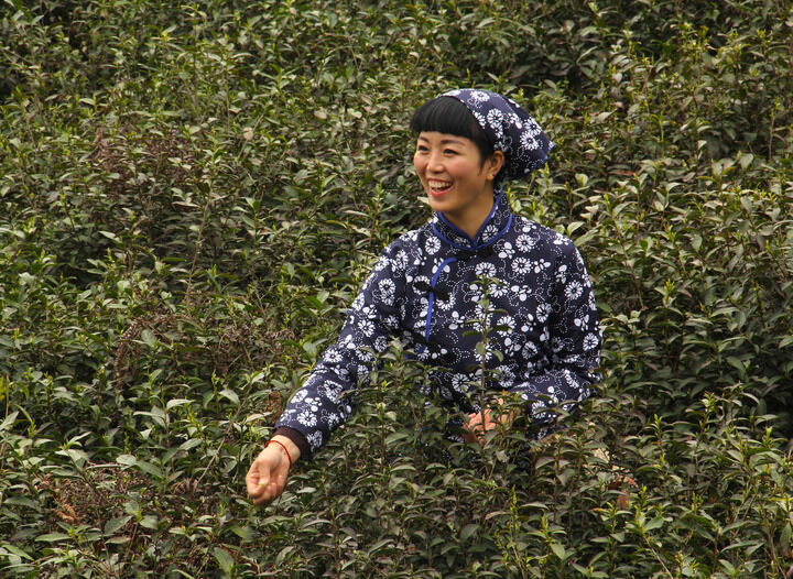 152网主 暗房直播